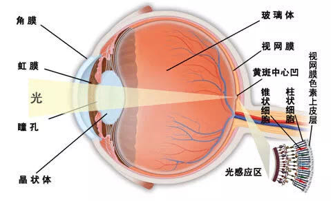 糖尿病黃斑水腫